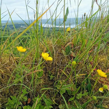 Dom wakacyjny Majestic Cavan Burren, 4 Bedroom, Dream Cornagee