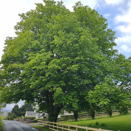 Majestic Cavan Burren, 4 Bedroom, Dream Feriehus *