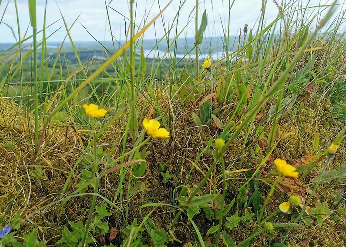 Дом отдыха Majestic Cavan Burren, 4 Bedroom, Dream Cornagee