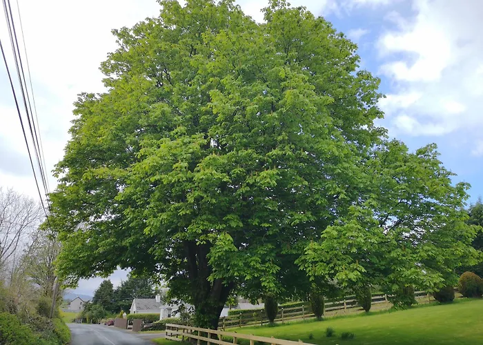 Majestic Cavan Burren, 4 Bedroom, Dream Дом отдыха *